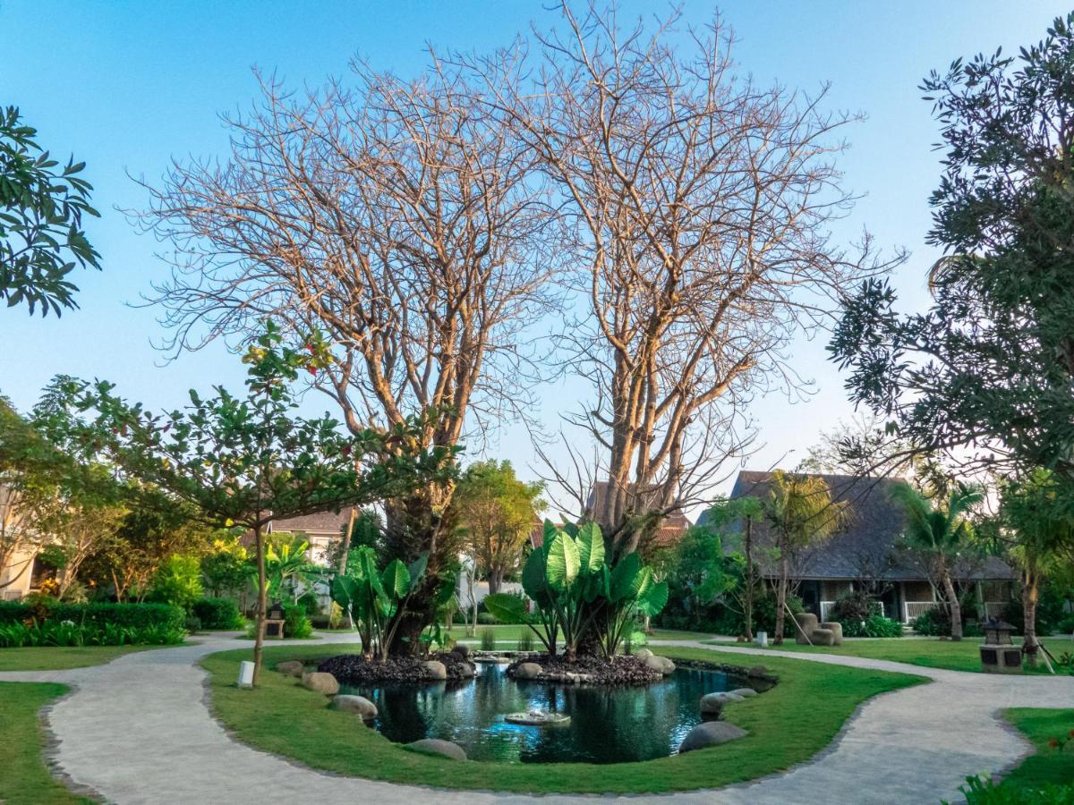 Sudamala Resort, Komodo, Labuan Bajo Eksteriør billede The twin trees at the centre of the resort